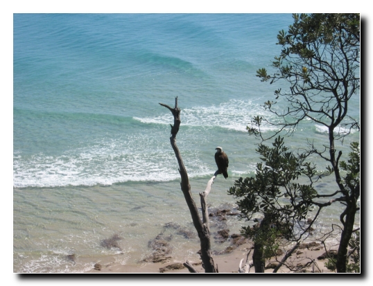 Byron Bay 06